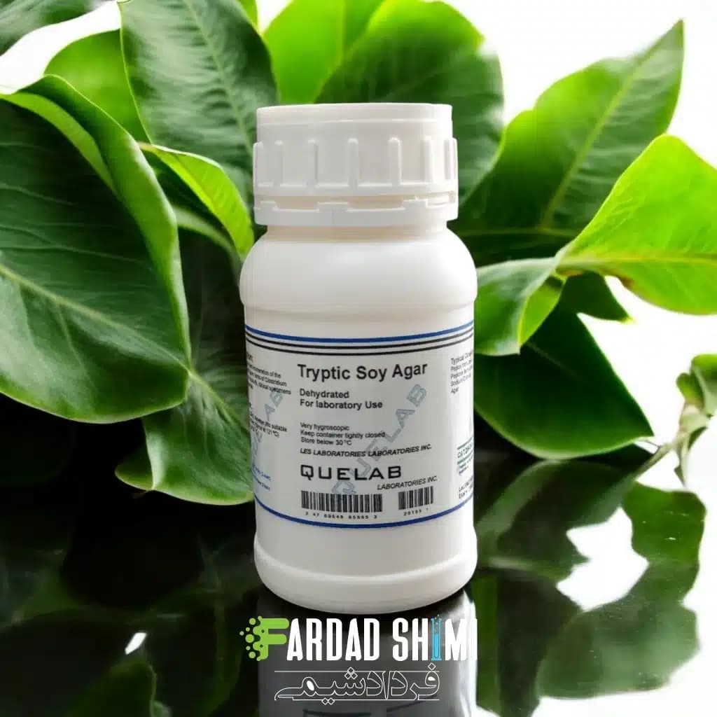 محیط کشت Tryptic Soy Agar کیولب