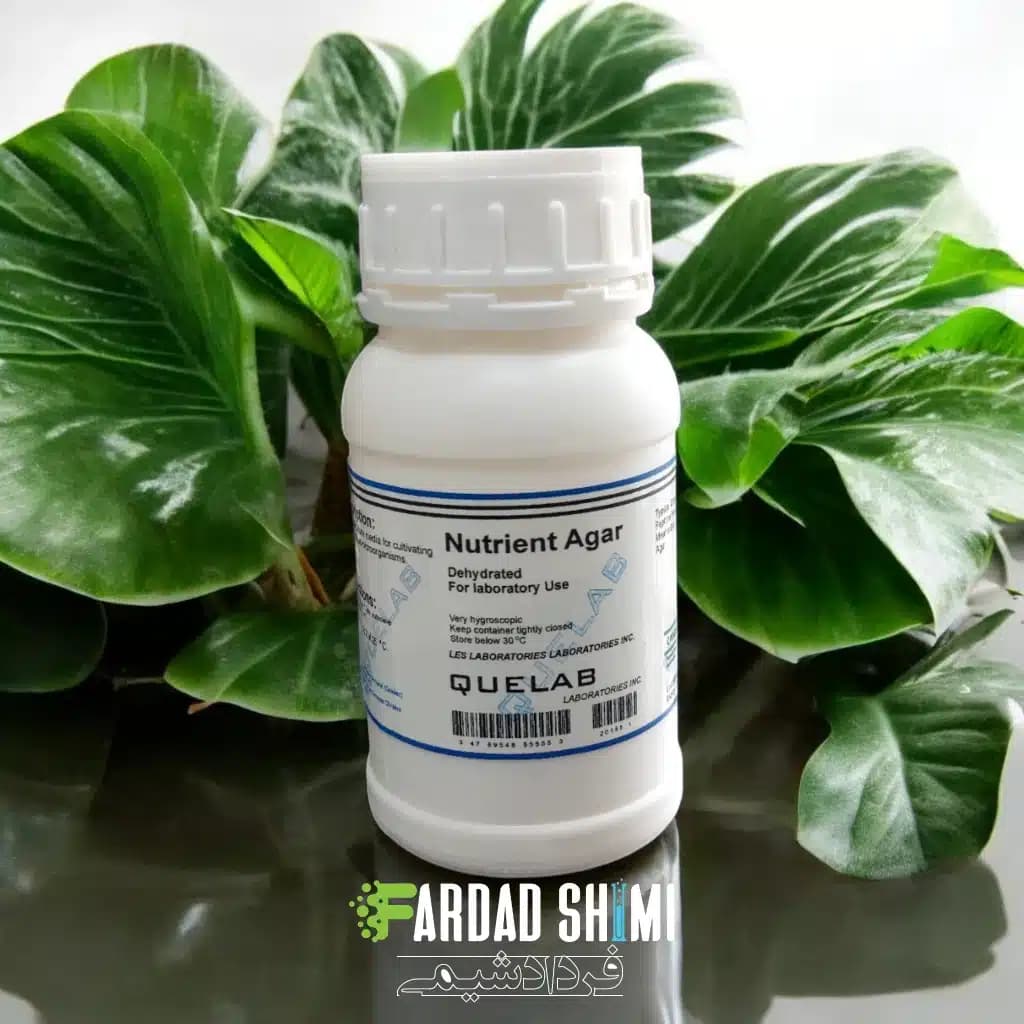 محیط کشت Nutrient Agar کیولب