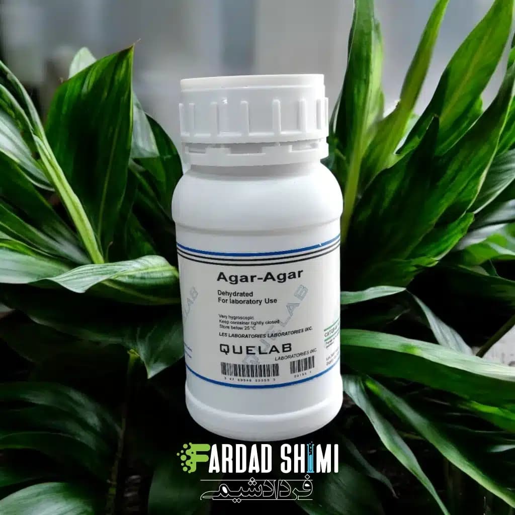 محیط کشت Agar-Agar کیولب