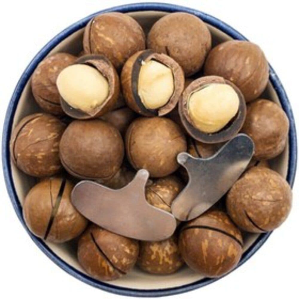 فندق ماکادمیا با پوست