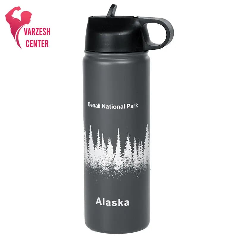قمقمه فلزی Alaska