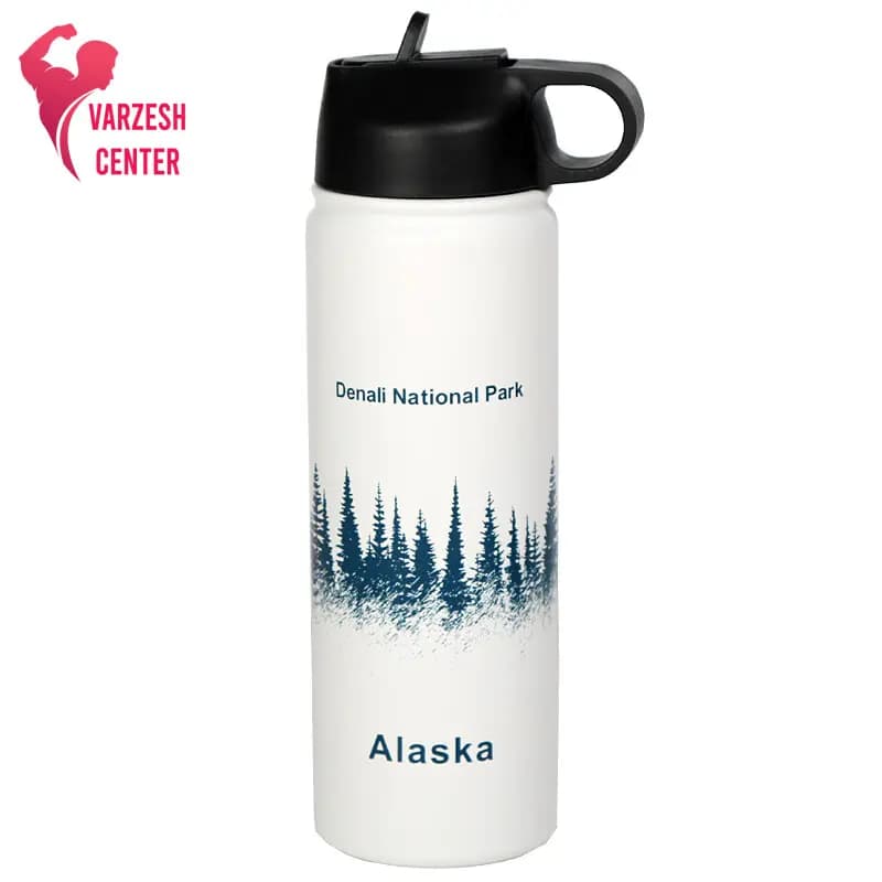 قمقمه فلزی Alaska — تصویر ۳