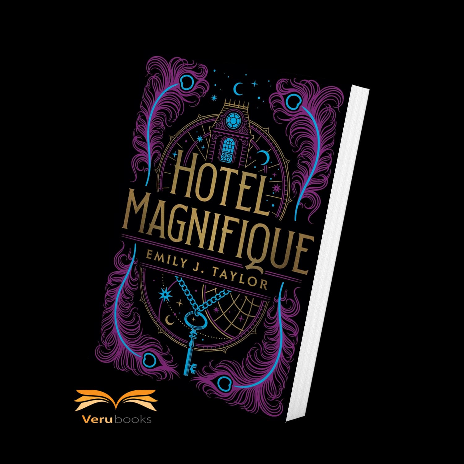 رمان انگلیسی Hotel Magnifique