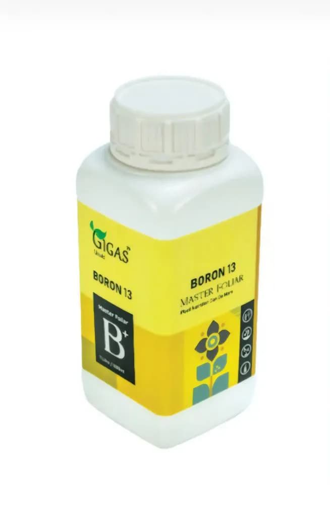 کود مایع بورون ۱۳٪ ژیگاس (Boron 13%) - قوطی ۱ لیتری