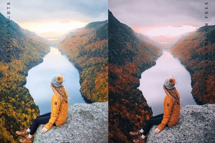 پکیج پریست لایت روم 100عددی creativemarket — تصویر ۲