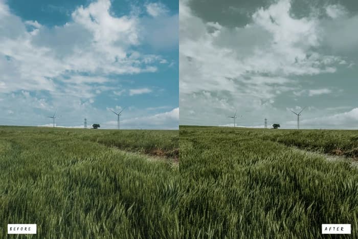 مجموعه 12تایی پریست لایت روم سینما — تصویر ۴
