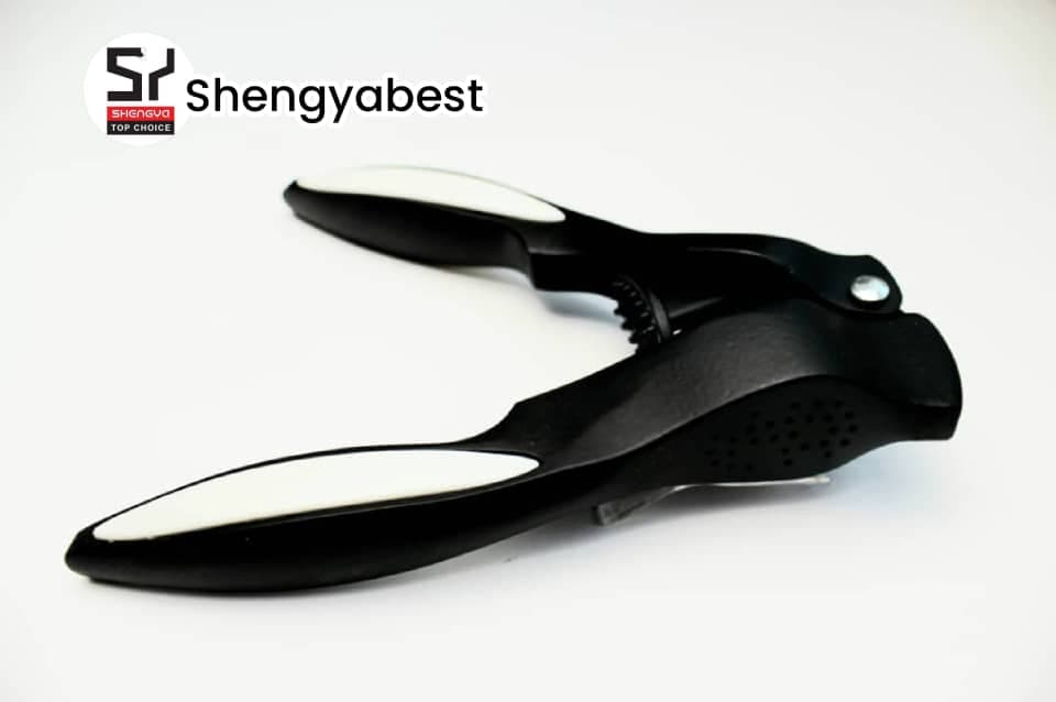 سیر له کن نگینی مشکی