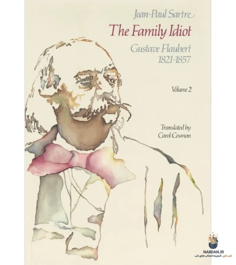 کتاب The Family Idiot Volume 2 (ابله خانواده جلد ۲) نسخه انگلیسی PDF | ژان پل سارتر