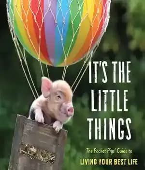 دانلود کتاب It’s the Little Things: The Pocket Pigs’ Guide to Living Your Best Life (Inspiration Book, Gift Book, Life…