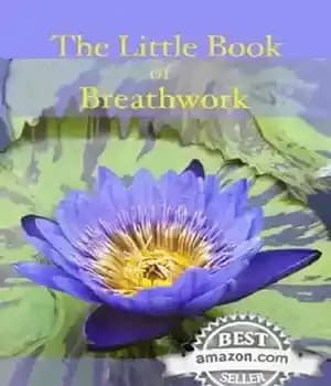 دانلود کتاب The Little Book of Breathwork – کتاب کوچک نفس کشیدن