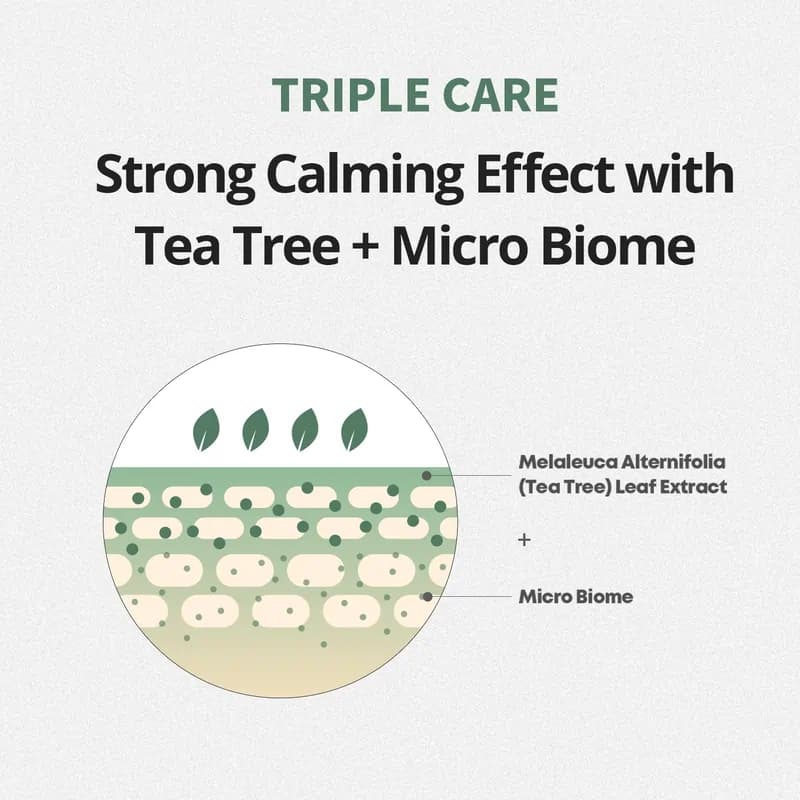کرم دور چشم ضد تیرگی و تسکین دهنده فارم استی Farmstay مدل Tea Tree Biome – حاوی عصاره درخت چای | حجم 50 میلی‌لیتر — تصویر ۵