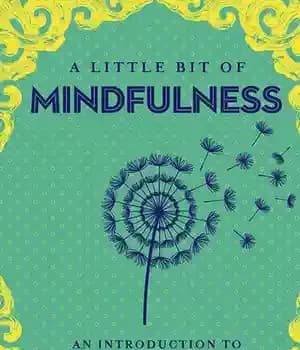 دانلود کتاب A Little Bit of Mindfulness: An Introduction to Being Present – کمی ذهن آگاهی: مقدمه ای بر حضور