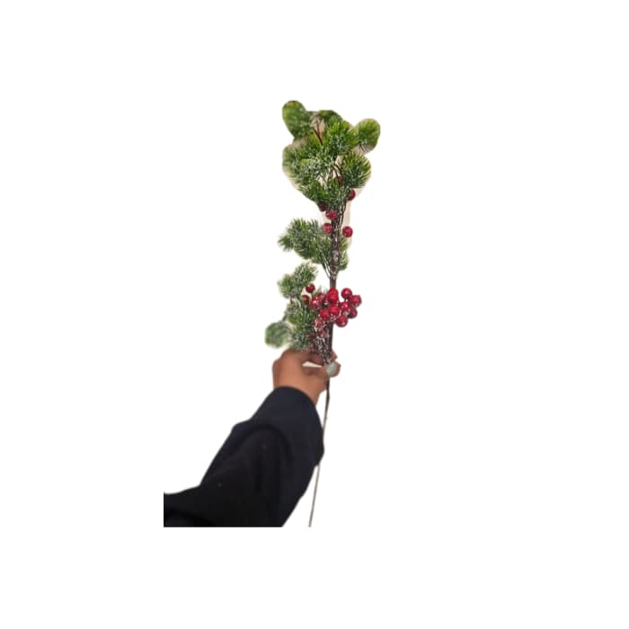 شاخه زالزالک برفی