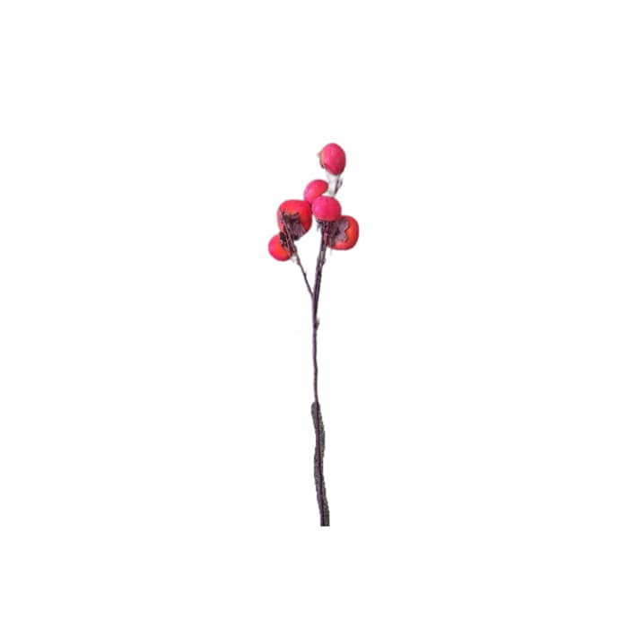 شاخه خرمالو — تصویر ۲