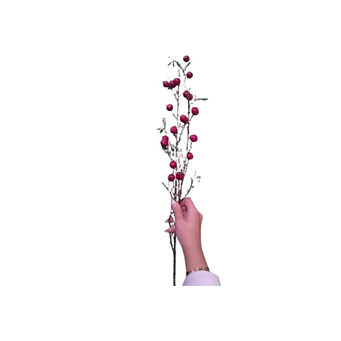 شاخه زالزالک مصنوعی