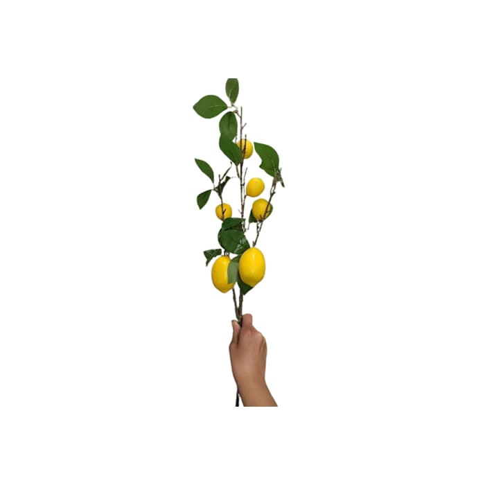 شاخه لیمو مصنوعی