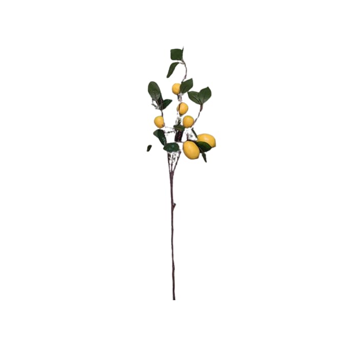 شاخه لیمو مصنوعی — تصویر ۲