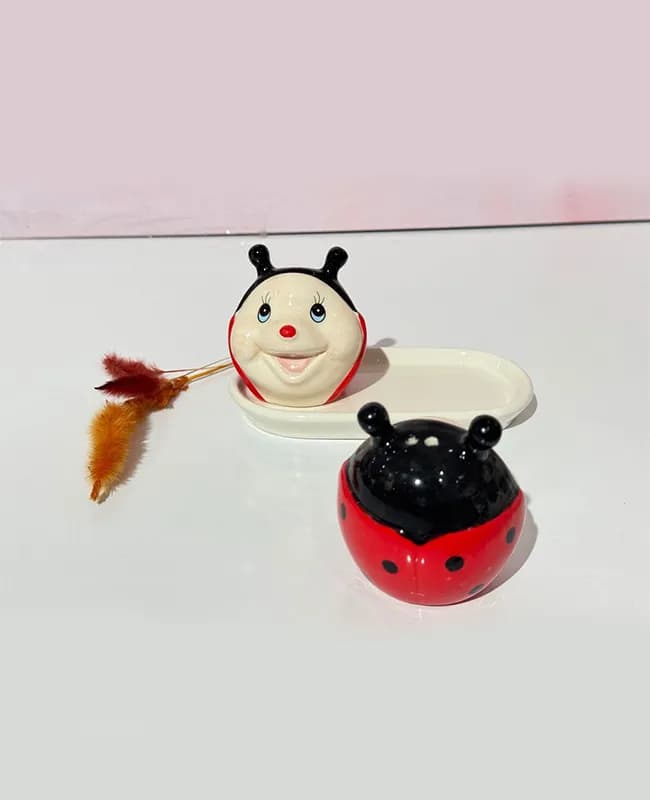 نمکدان کفش دوزک وارداتی کد 135207 — تصویر ۳