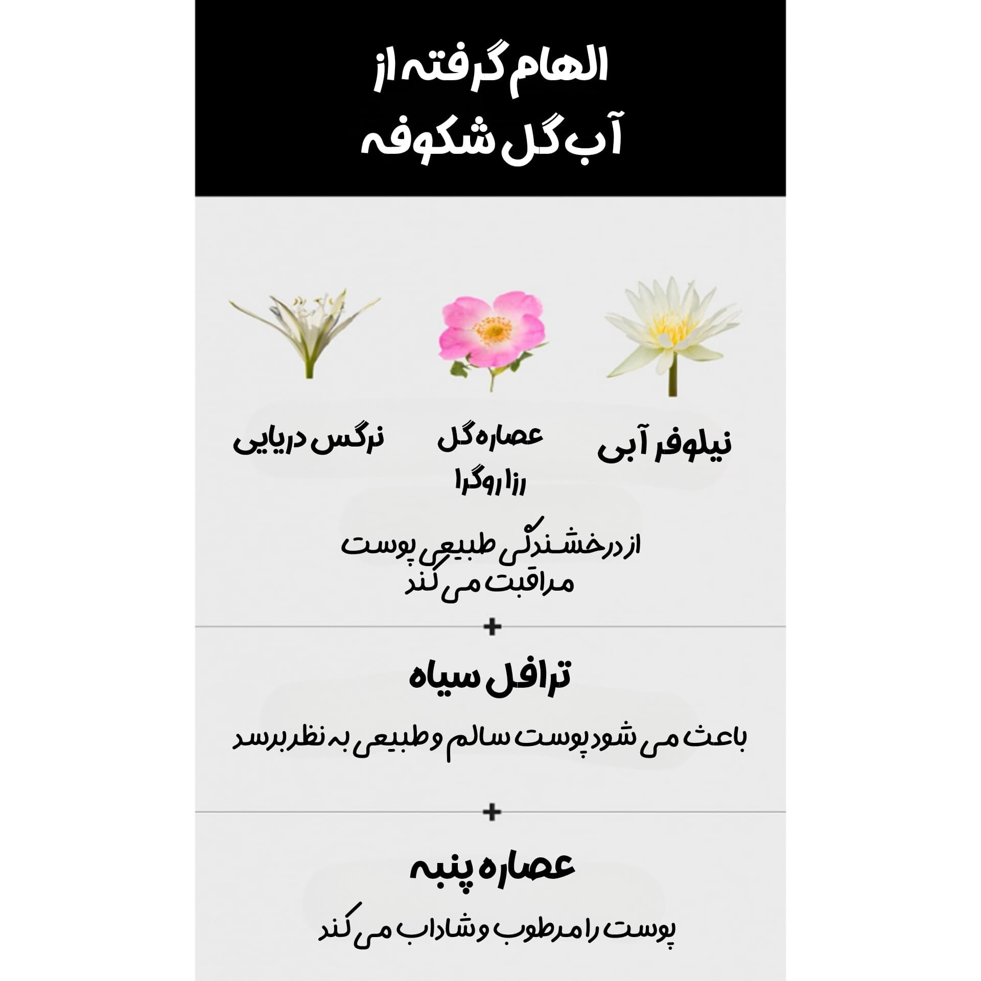 کوشن مشکی تیرتیر — تصویر ۴