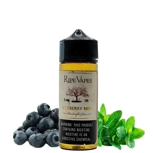 جویس بلوبری نعنا رایپ ویپز 120 میل | Ripe Vapes Blueberry Mint E-Liquid 120ml