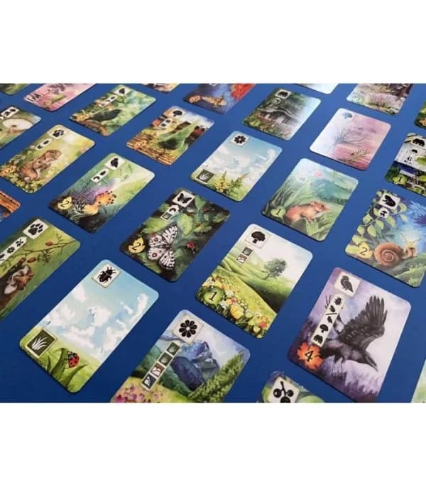 بازی فکری چمنزار (Meadow) — تصویر ۶