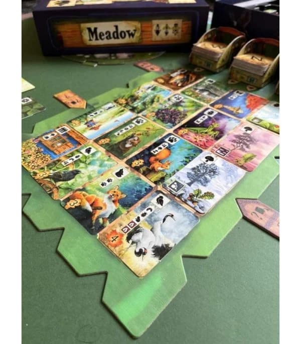 بازی فکری چمنزار (Meadow) — تصویر ۳