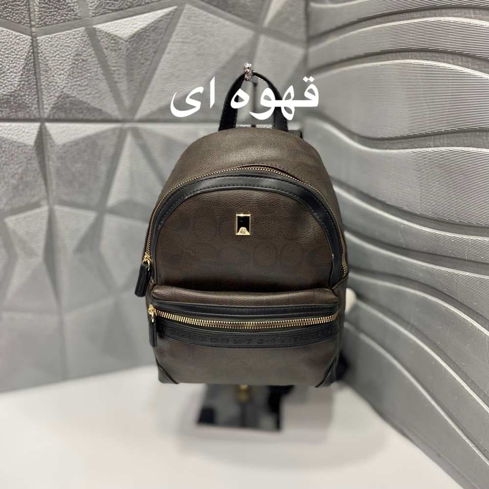 کوله وارداتی از برند کریس بلا کد A0124 — تصویر ۳