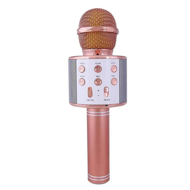 میکروفون اسپیکر مدل WS-858 | کیفیت صدا بالا