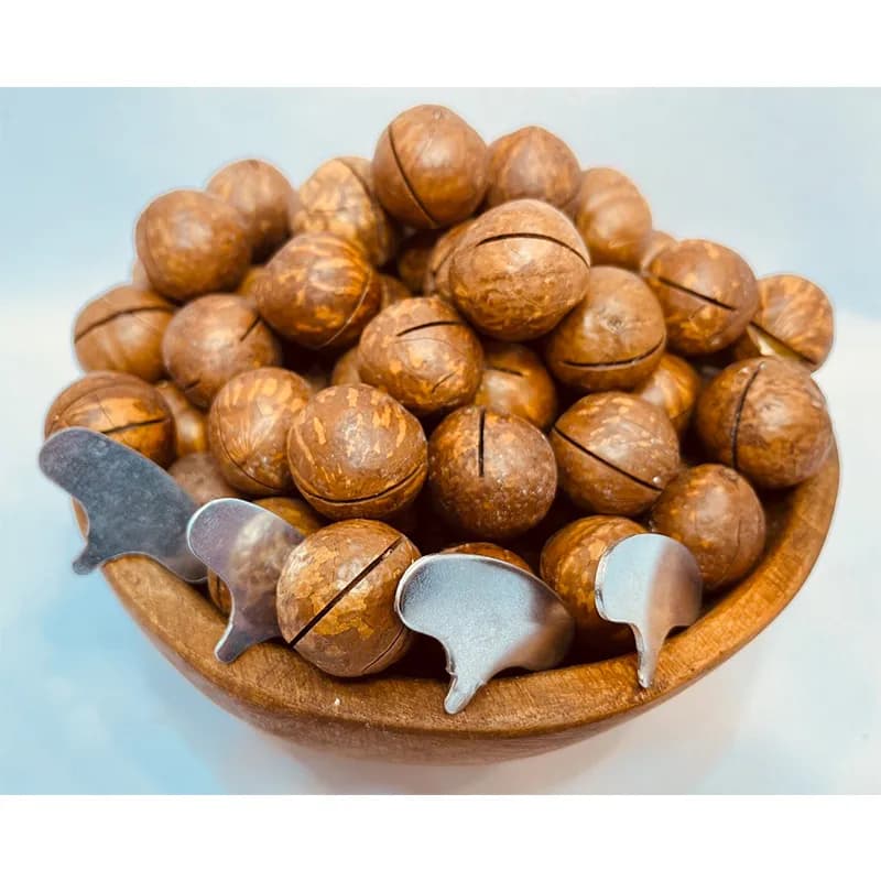 ماکادمیا (فندق استرالیایی) ۵۰۰ گرمی