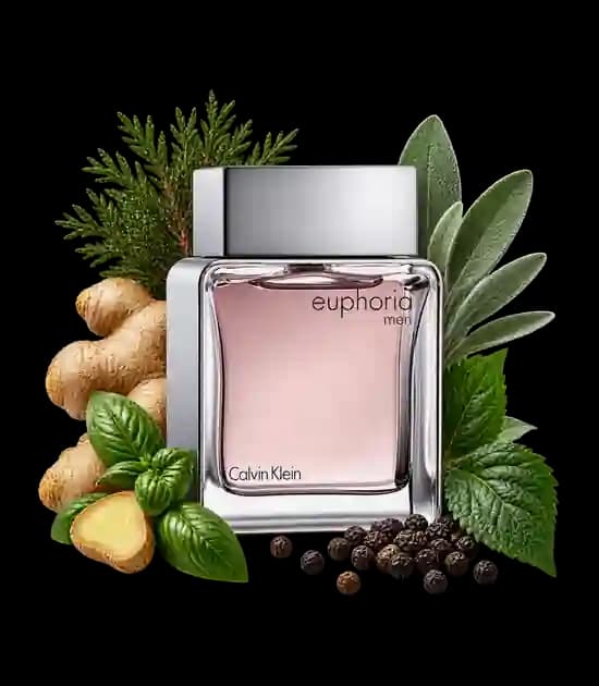 عطر افوریا کلوین کلاین مردانه | Calvin Klein Euphoria Men