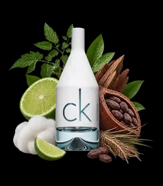 عطر سی‌کی این‌تو‌یو مردانه | Calvin Klein CK IN2U for Him