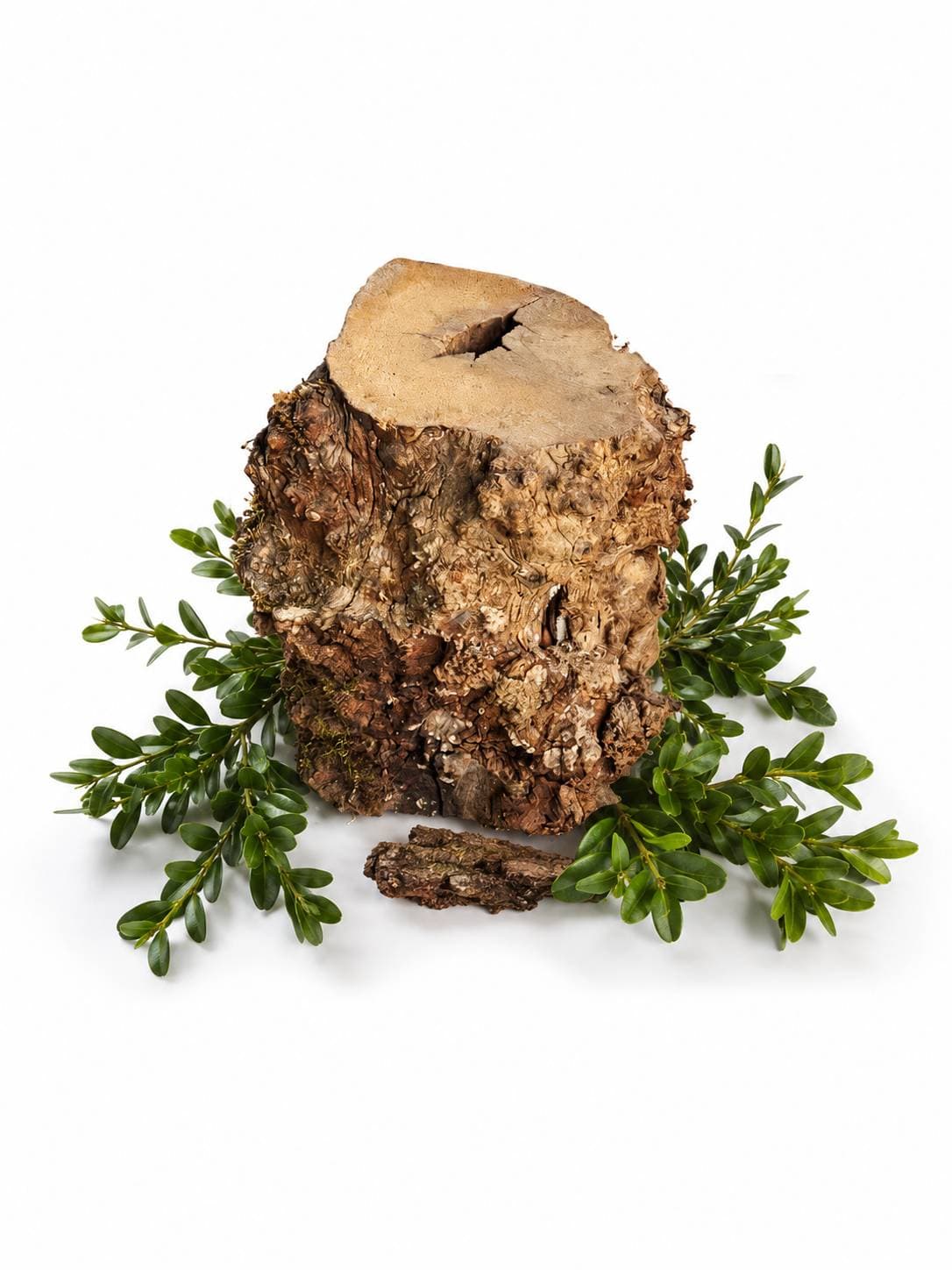 چوب جوش شمشاد
