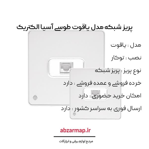 پریز شبکه مدل یاقوت طوسی آسیا الکتریک — تصویر ۳