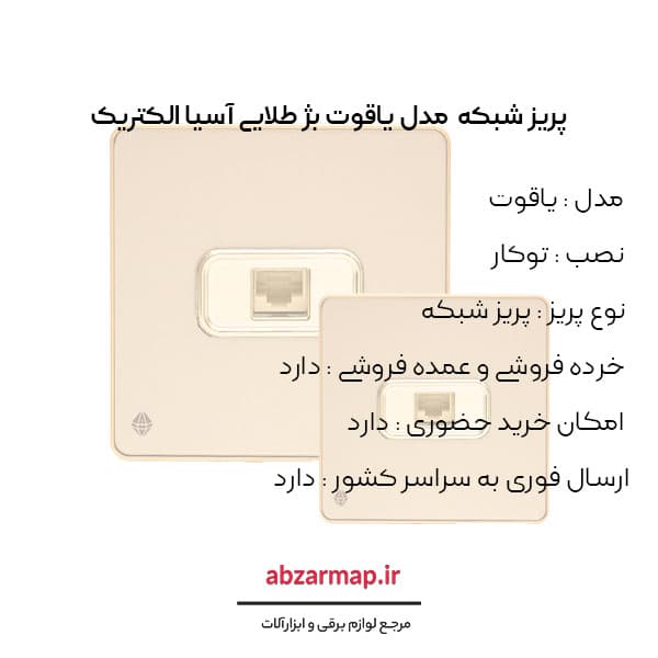 پریز شبکه مدل یاقوت بژ آسیا الکتریک — تصویر ۳