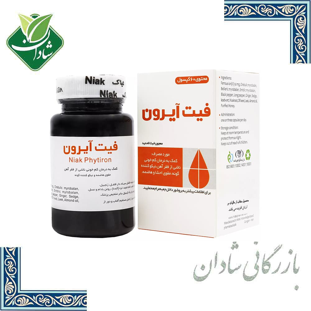 قرص فیت آیرون پلاس (خبث الحدید) نیاک 40 عدد — تصویر ۲