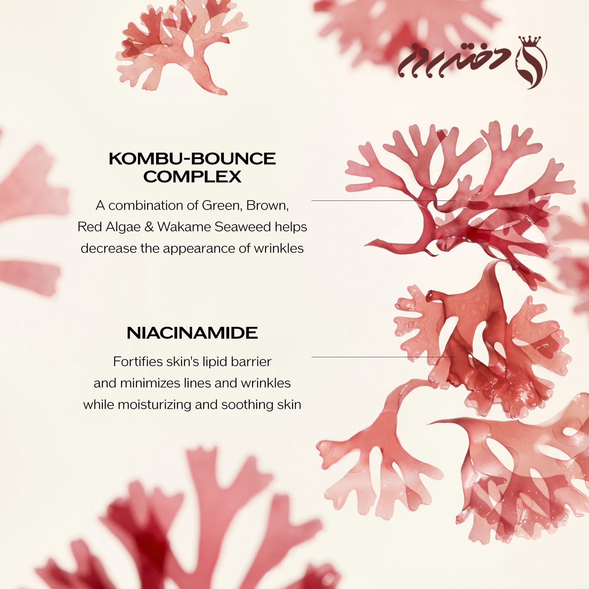 کرم ضد چروک بنفیانس شیسیدو |Wrinkle smoothing cream benefiance shiseido — تصویر ۵