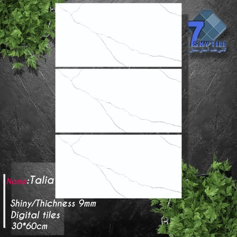 کاشی دیواری درجه 2 مدل تالیا ابعاد 60*30