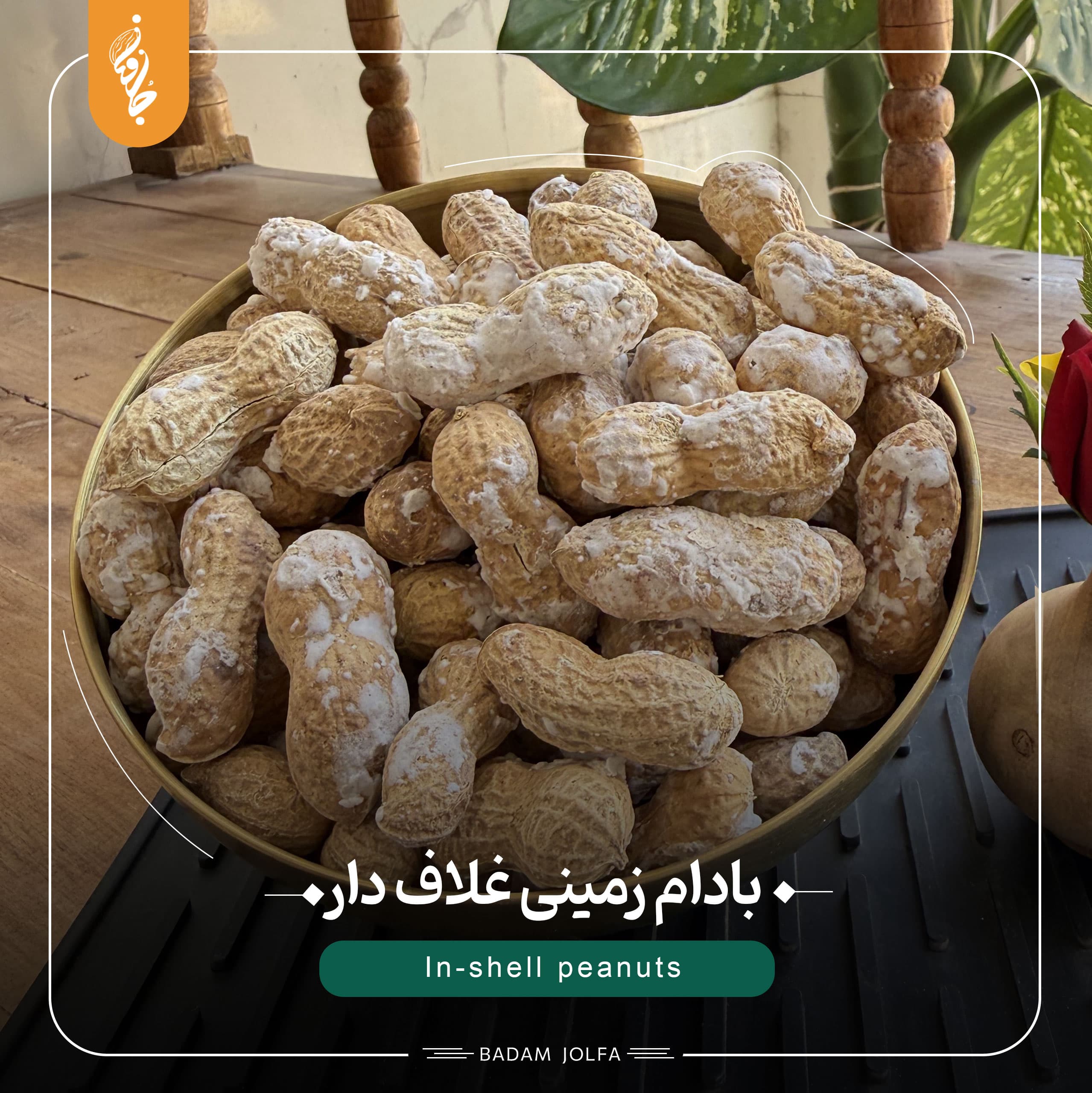 Shelled peanuts with skin - بادام جلفا