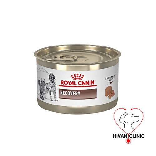 کنسرو ریکاوری RoyalCanin Recovery 195gr