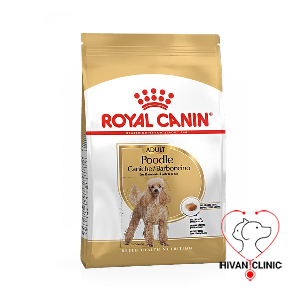 غذای سگ Poodle RoyalCanin