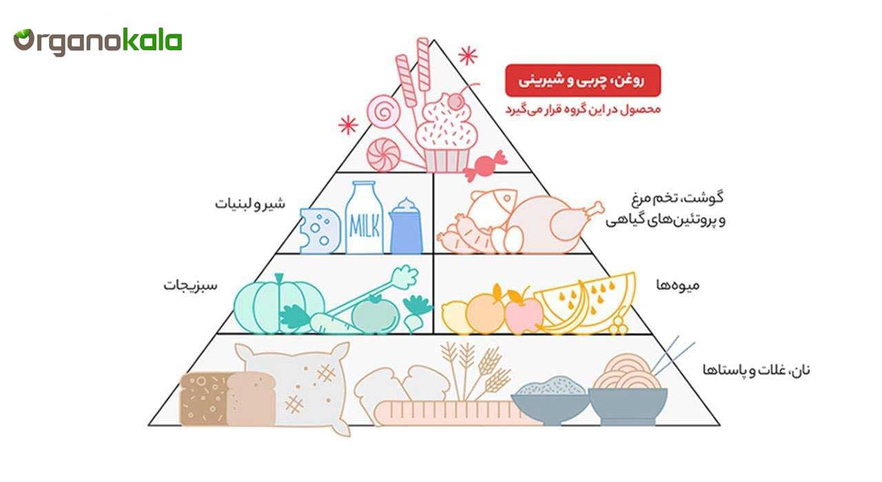 عسل چهل گیاه – 950 گرم — تصویر ۲