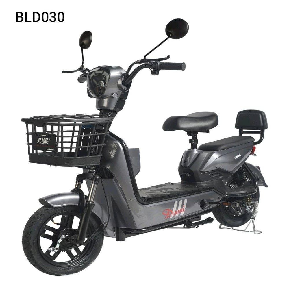 موتور برقی مدل BLD030