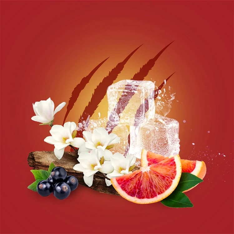 مام ضد تعریق Old Spice مدل Tigerclaw حجم 50 میلی لیتر — تصویر ۴