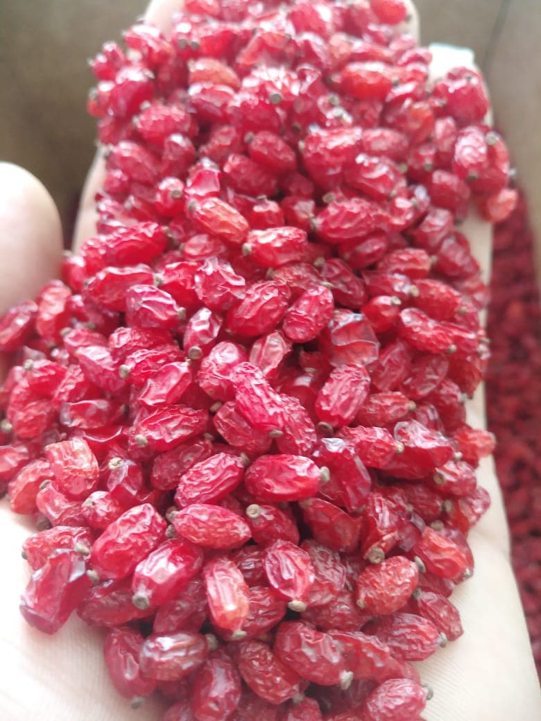 زرشک پفکی قائنات – یک کیلو — تصویر ۳