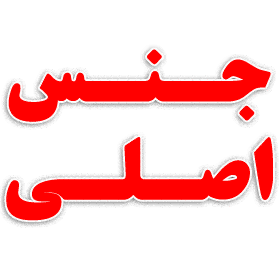 دمپر یخچال سامسونگ — تصویر ۳