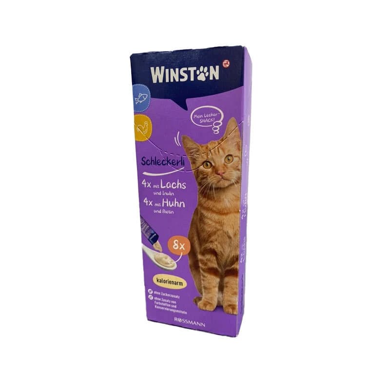 بستنی گربه وینستون Winston Cat Ice Cream در شش طعم متنوع