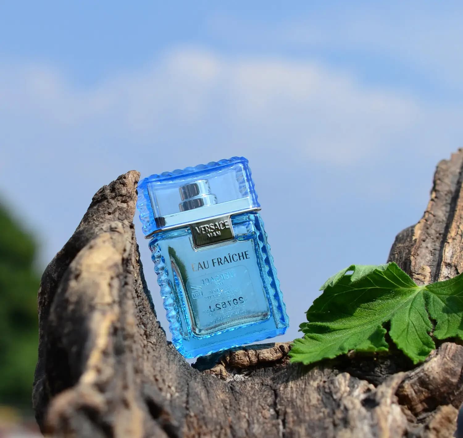 فروش اینترنتی عطر ورساچه او فرش Versace Eau Fraiche 200ml — تصویر ۷