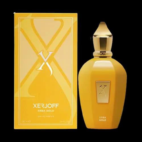 عطر و ادکلن اماراتی زرجوف (زرژوف) اربا گلد هاردباکس ادو پرفیوم 100 میلی لیتر | Emarati Perfume Xerjoff Erba Gold 100ml EDP