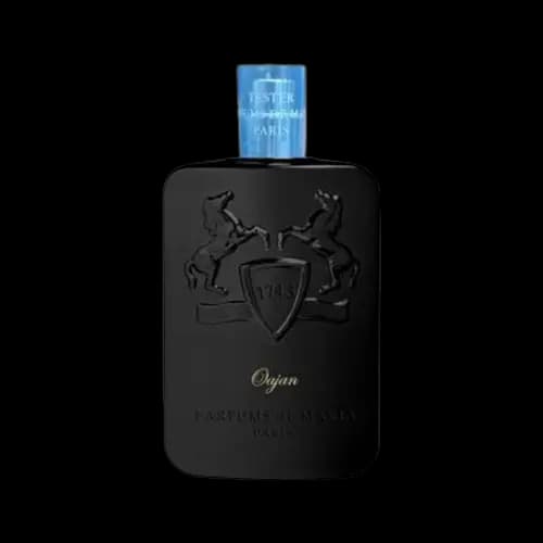 تستر اماراتی پارفومز دی مارلی اوجان (عوجان) درب اصلی ادو پرفیوم 125 میلی لیتر | Tester Parfums de Marly Oajan 125ml EDP — تصویر ۲