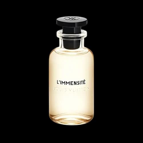 عطر اماراتی لویی ویتون ال ایمنسیت هاردباکس ادو پرفیوم 100 میلی لیتر | Emarati Perfume Louis Vuitton L’Immensité 100ml EDP — تصویر ۲